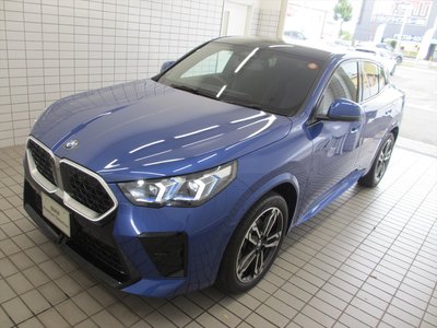 2025 BMW X2 — миниатюра 15