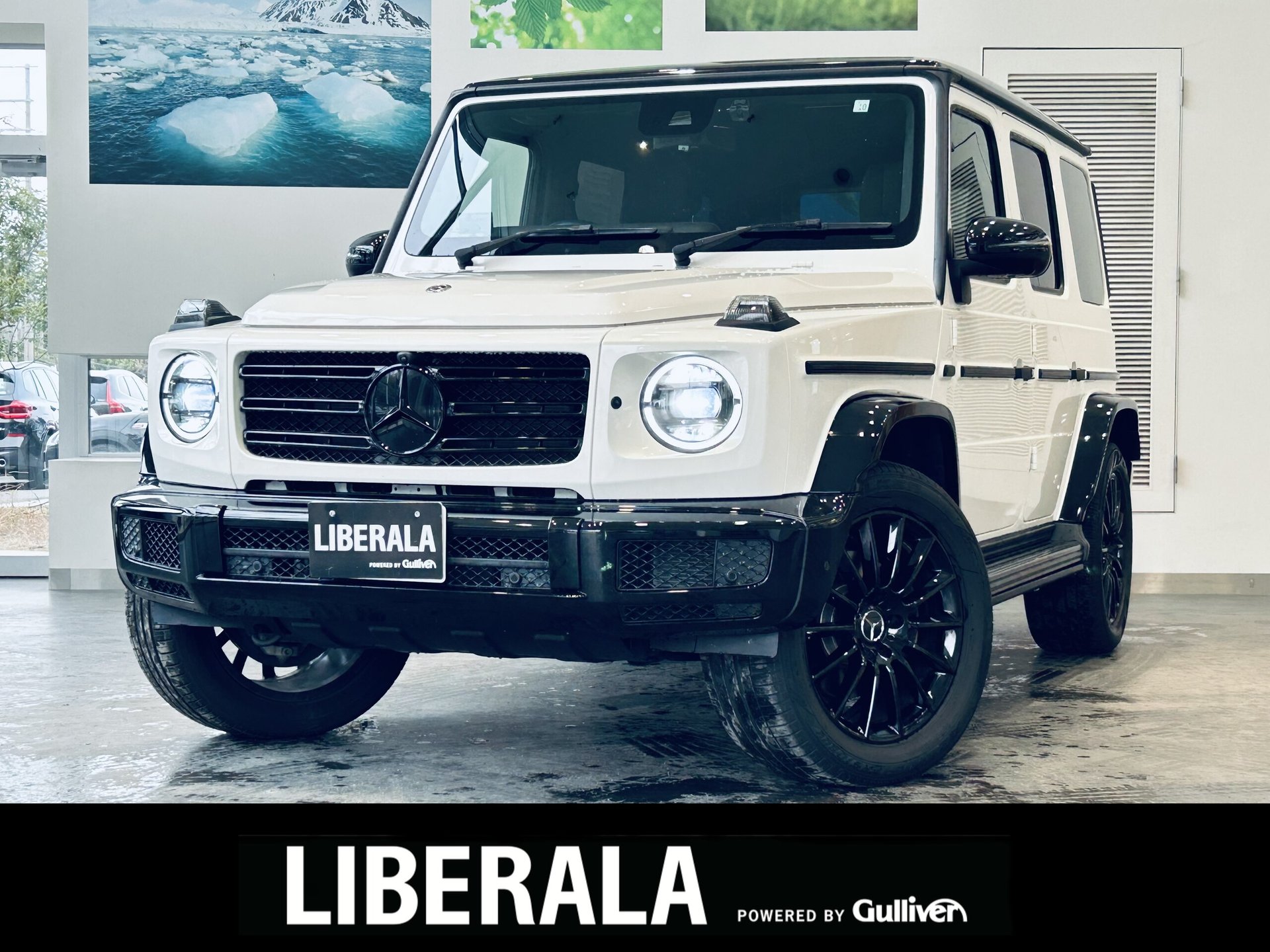 MERCEDES-BENZ G-CLASS - View 1