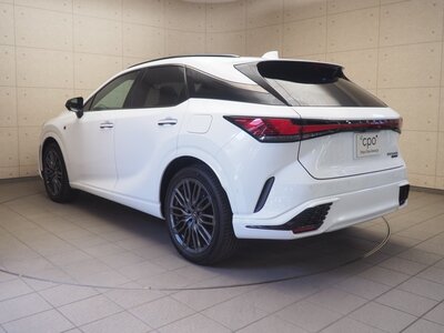 LEXUS RX - 4