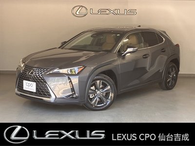 2024 LEXUS UX — фото 1
