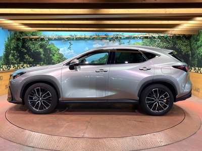 Thumbnail 59
