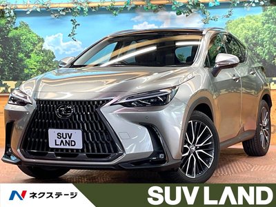 LEXUS NX - 1