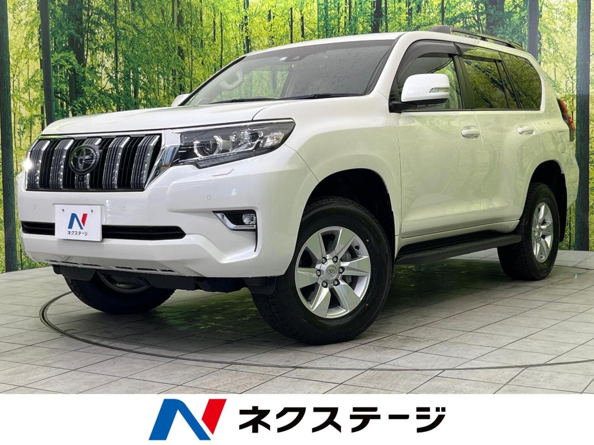 TOYOTA LAND CRUISER PRADO - View 1