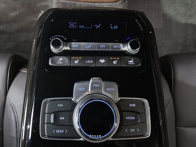 2020 Genesis G90 缩略图 24