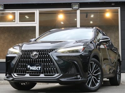 LEXUS NX - 1