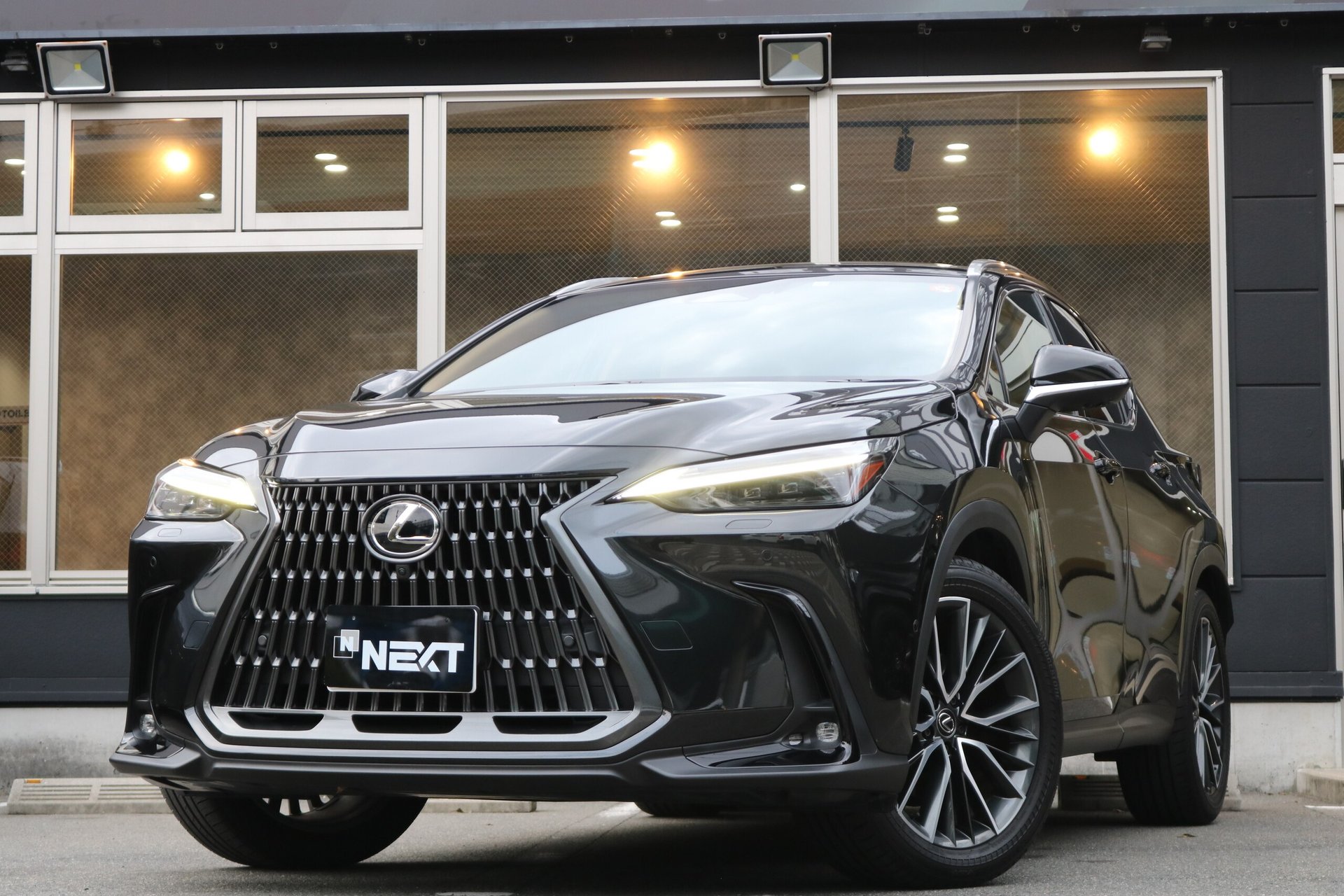 LEXUS NX - View 1
