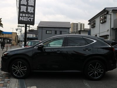 LEXUS NX - 8