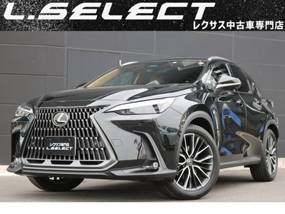 LEXUS NX - 1