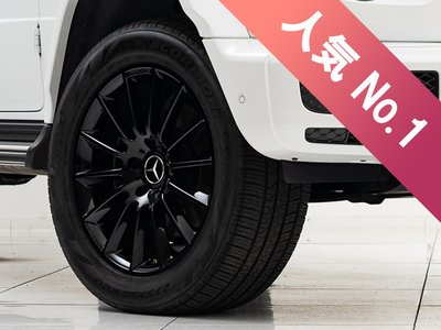 MERCEDES-BENZ G-CLASS - 2