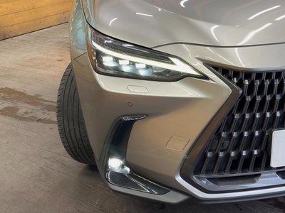 2022 Lexus NX 缩略图 12