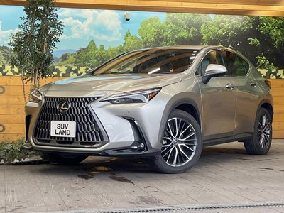 2022 Lexus NX 缩略图 35