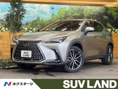 LEXUS NX - 1