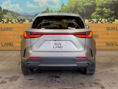 2022 Lexus NX 缩略图 15