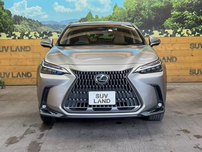 2022 Lexus NX 缩略图 14