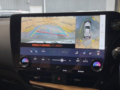 LEXUS NX - 4