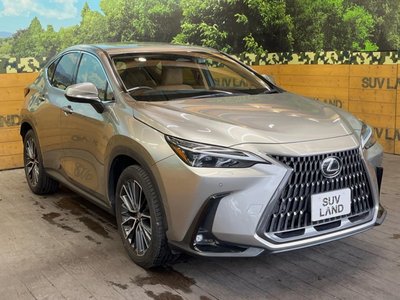 2022 Lexus NX 缩略图 16