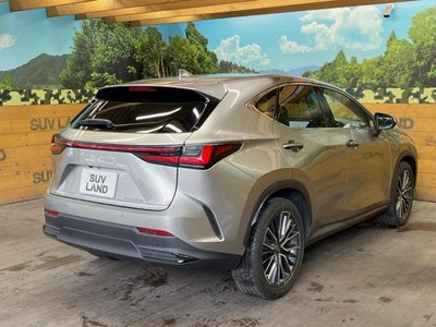 2022 Lexus NX 缩略图 17