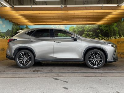 2022 Lexus NX 缩略图 36