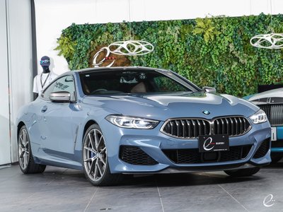 2018 BMW 8 SERIES thumbnail 25