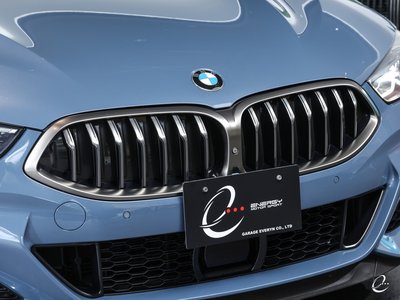 2018 BMW 8 SERIES thumbnail 27