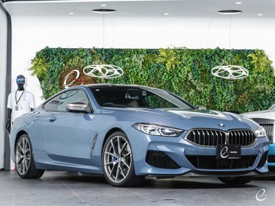2018 BMW 8 SERIES thumbnail 22