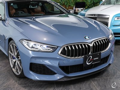 2018 BMW 8 SERIES thumbnail 21