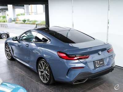 2018 BMW 8 SERIES thumbnail 39