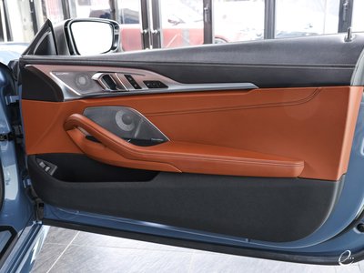 2018 BMW 8 SERIES thumbnail 64