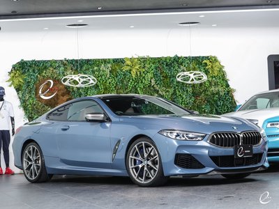 2018 BMW 8 SERIES thumbnail 24