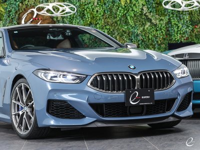 2018 BMW 8 SERIES thumbnail 19