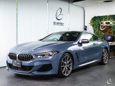 2018 BMW 8 SERIES thumbnail 20