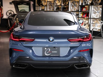 2018 BMW 8 SERIES thumbnail 46