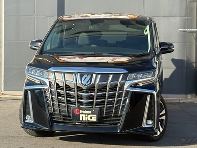 TOYOTA ALPHARD - 10