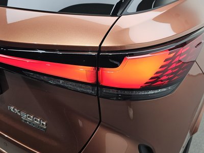 LEXUS RX - 10