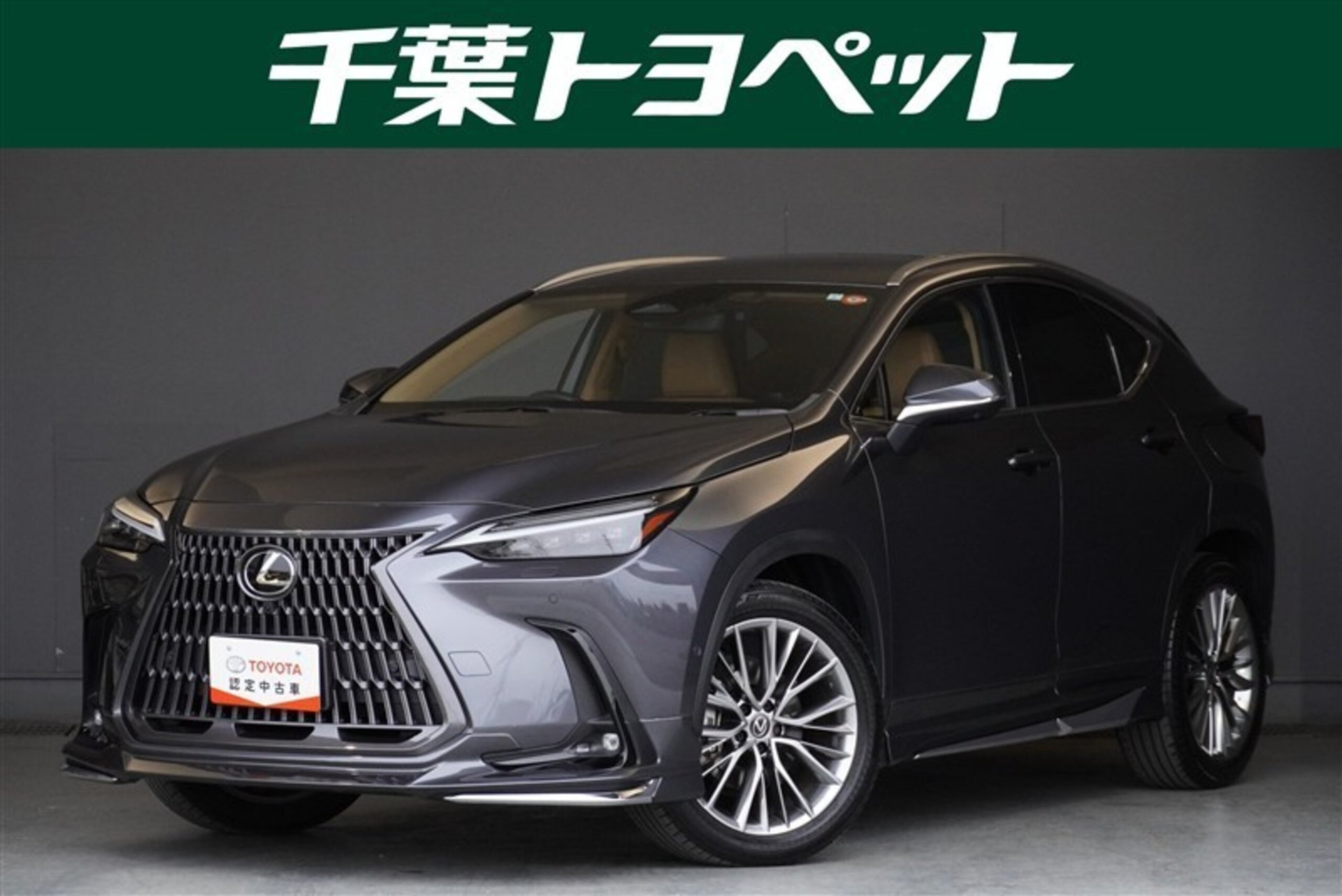 LEXUS NX - View 1