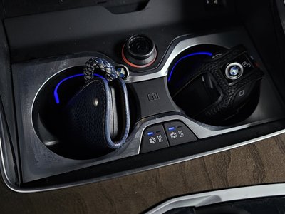 2021 BMW X5 缩略图 23