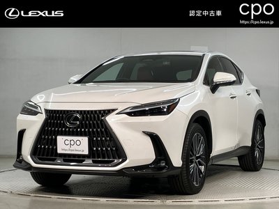 LEXUS NX - 1
