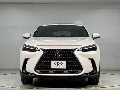 LEXUS NX - 2