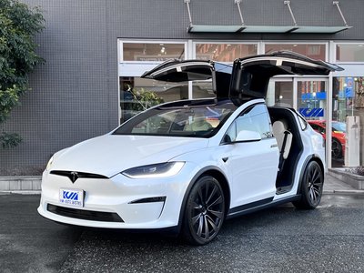 TESLA MODEL X - 1