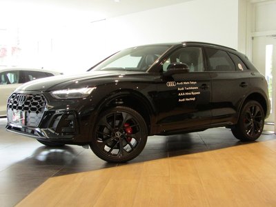 AUDI SQ5 - 8