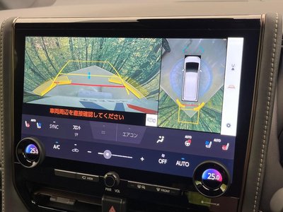 TOYOTA ALPHARD - 6