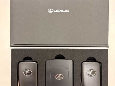 2021 Lexus RX 缩略图 70