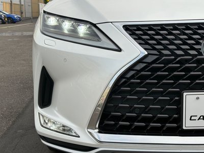 2021 Lexus RX 缩略图 19