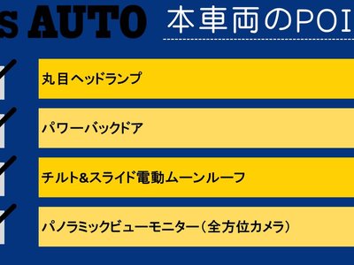 TOYOTA LAND CRUISER 250 - 4