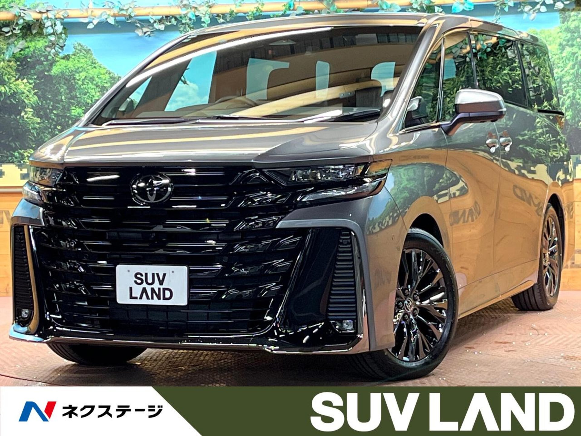 TOYOTA VELLFIRE - View 1