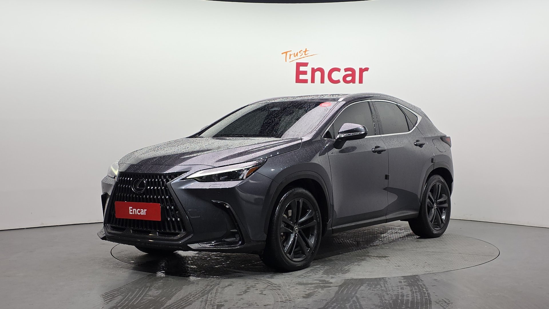 LEXUS NX - View 1