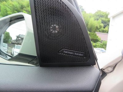 صورة مصغرة 12 لـ 2025 BMW X3