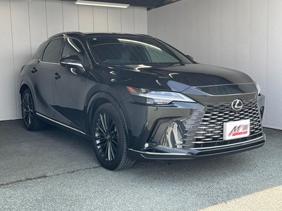 LEXUS RX - 4