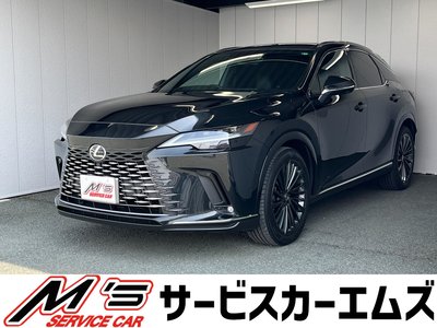 LEXUS RX - 1