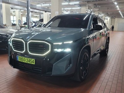 BMW XM - 1